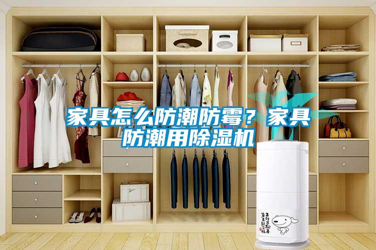 家具怎么防潮防霉？家具防潮用除濕機