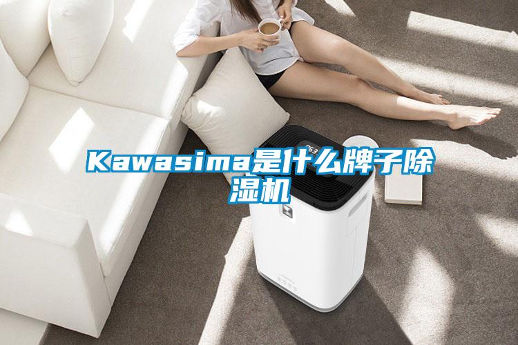 Kawasima是什么牌子除濕機