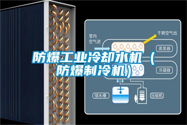 防爆工業(yè)冷卻水機(jī)（防爆制冷機(jī)）