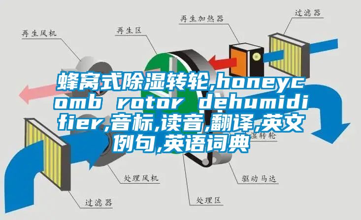 蜂窩式除濕轉輪,honeycomb rotor dehumidifier,音標,讀音,翻譯,英文例句,英語詞典