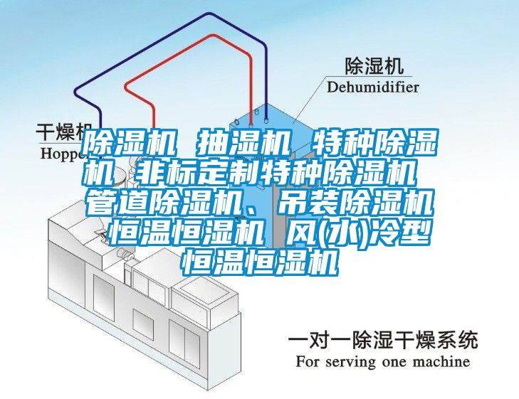 除濕機 抽濕機 特種除濕機 非標定制特種除濕機 管道除濕機、吊裝除濕機 恒溫恒濕機 風(水)冷型恒溫恒濕機