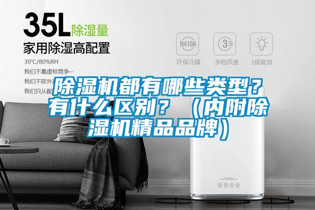 除濕機都有哪些類型？有什么區別？（內附除濕機精品品牌）