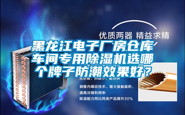 黑龍江電子廠房倉庫車間專用除濕機選哪個牌子防潮效果好？